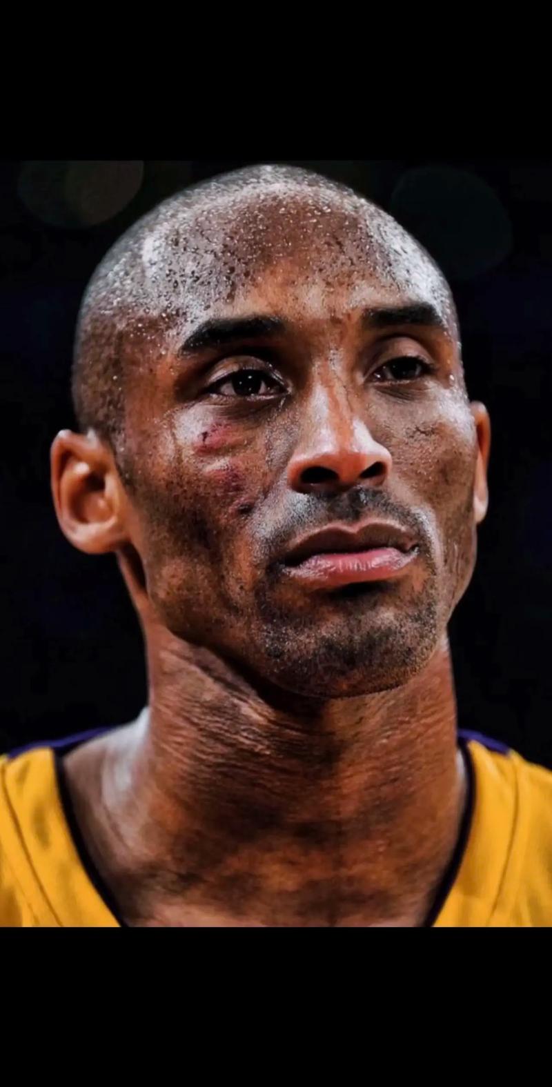 兰斯体育：解放者杯上演终极对决，帕尔梅拉斯将全主力出战（兰斯体育：解放者杯巅峰对决，帕尔梅拉斯全主力迎战）